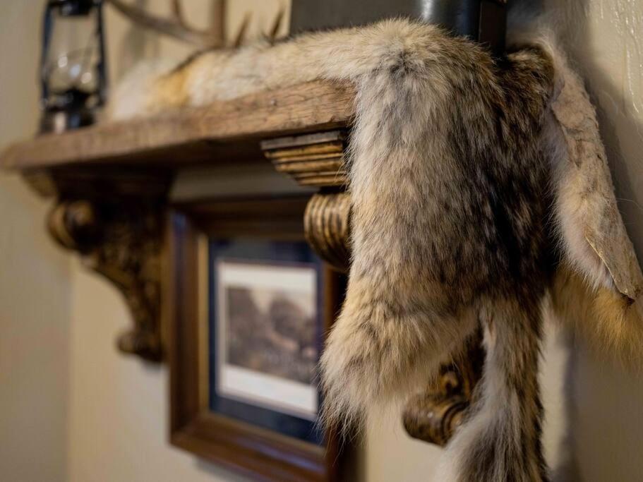 Stonegate Lodge Bear'S Den Kitchen, Pool, Firepit, Wifi ,Smart Tvs Eureka Springs Εξωτερικό φωτογραφία